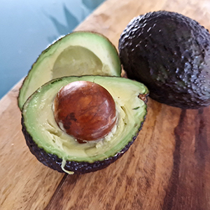 avocado